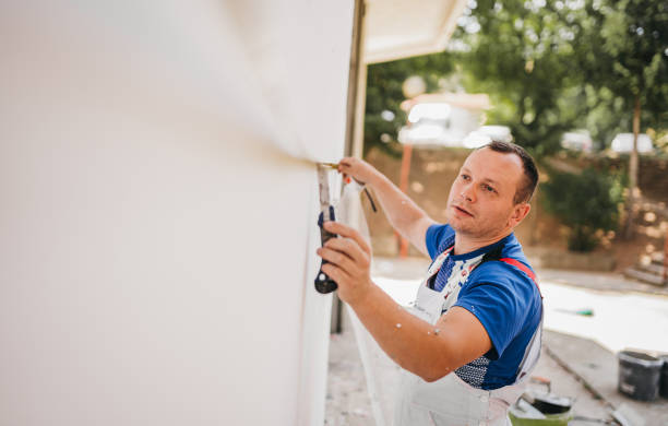 Best Basement Insulation  in Smithfield, VA